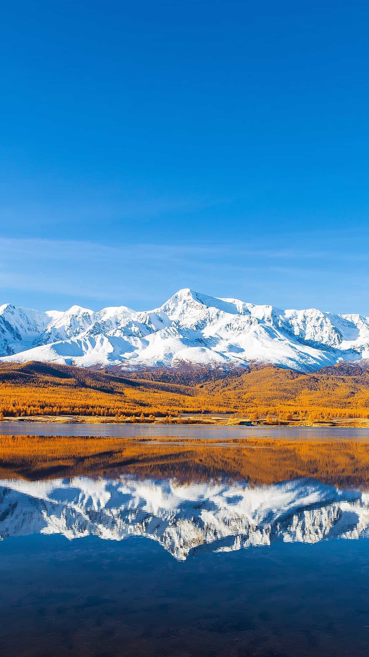 《从内网到全球:3步搞定服务器端口映射,业务畅通无阻》